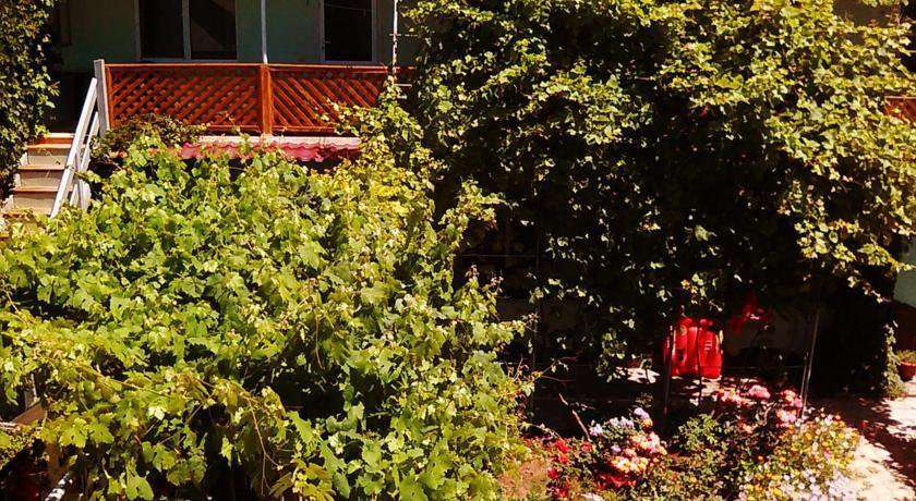 Гостиница Guest House Altair Поповка-12