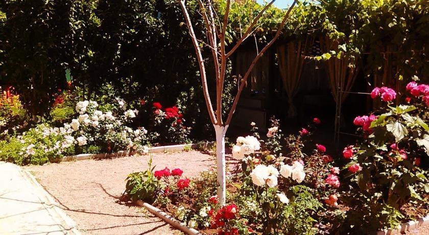 Гостиница Guest House Altair Поповка-25